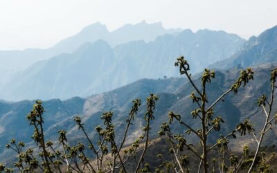 瑞典综合环境许可制度及相关环境管理制度在中国发布