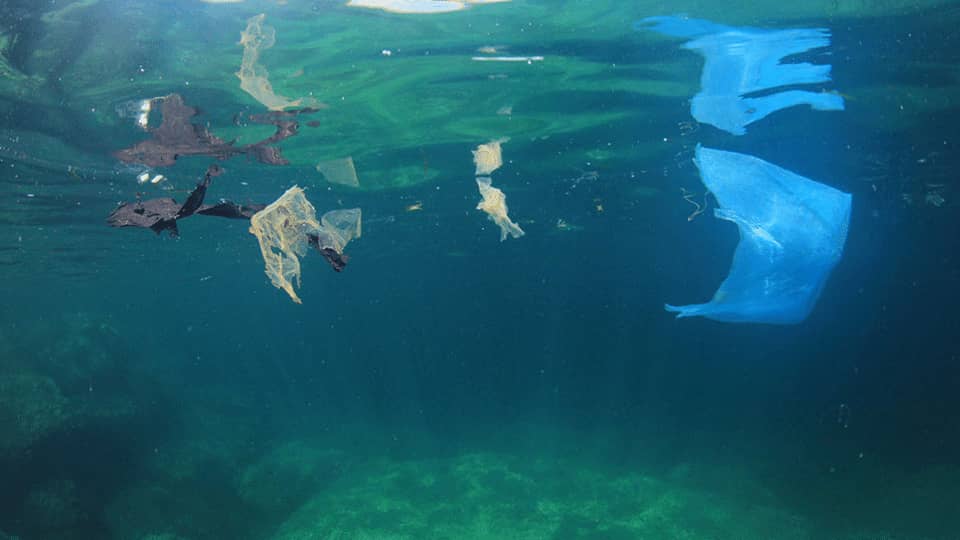 预防和减少黄海和渤海的微塑料负荷